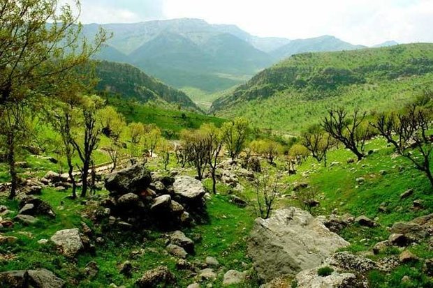 فائو خود را در زمینه حفاظت از زاگرس مسئول می داند