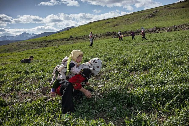 قرار گرفتن میان ۱۰ عکاس برتر زن جهان، حس غرور ندارد