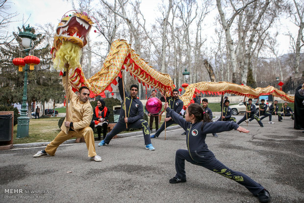 Chinese celebrate New Year along with Iranians