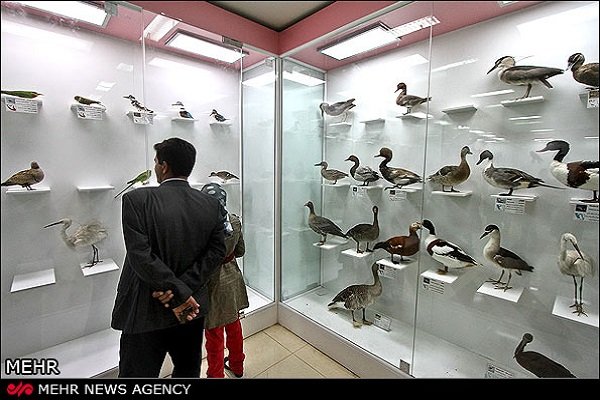 موزه تاریخ طبیعی ایلام در انتظار گردشگران