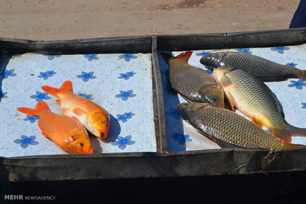 Shahroud Friday Market