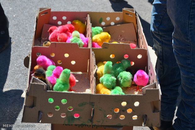 Shahroud Friday Market