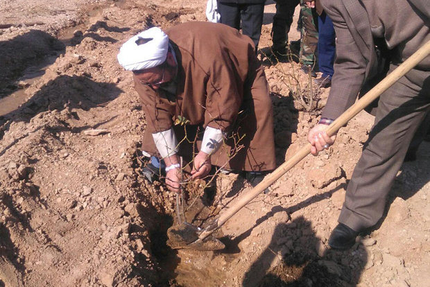 اهتمام به حفظ منابع طبیعی در بین مسئولان دامغان تقویت شود