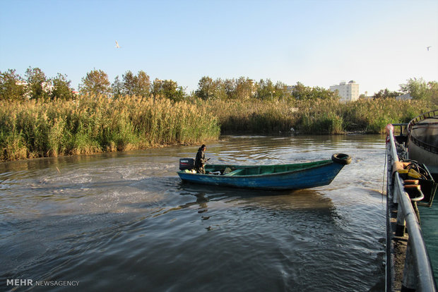 صKilka fishing in Caspian Sea