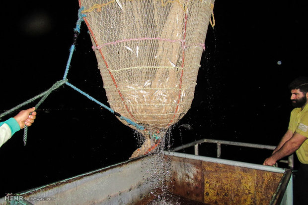 Kilka fishing in Caspian Sea