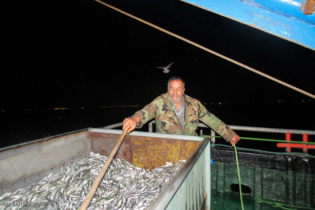 Kilka fishing in Caspian Sea