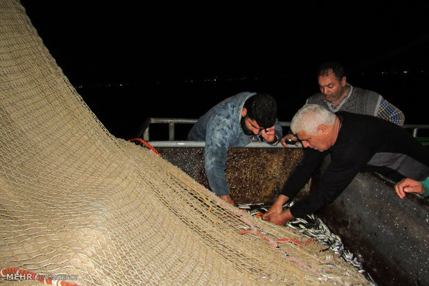 Kilka fishing in Caspian Sea