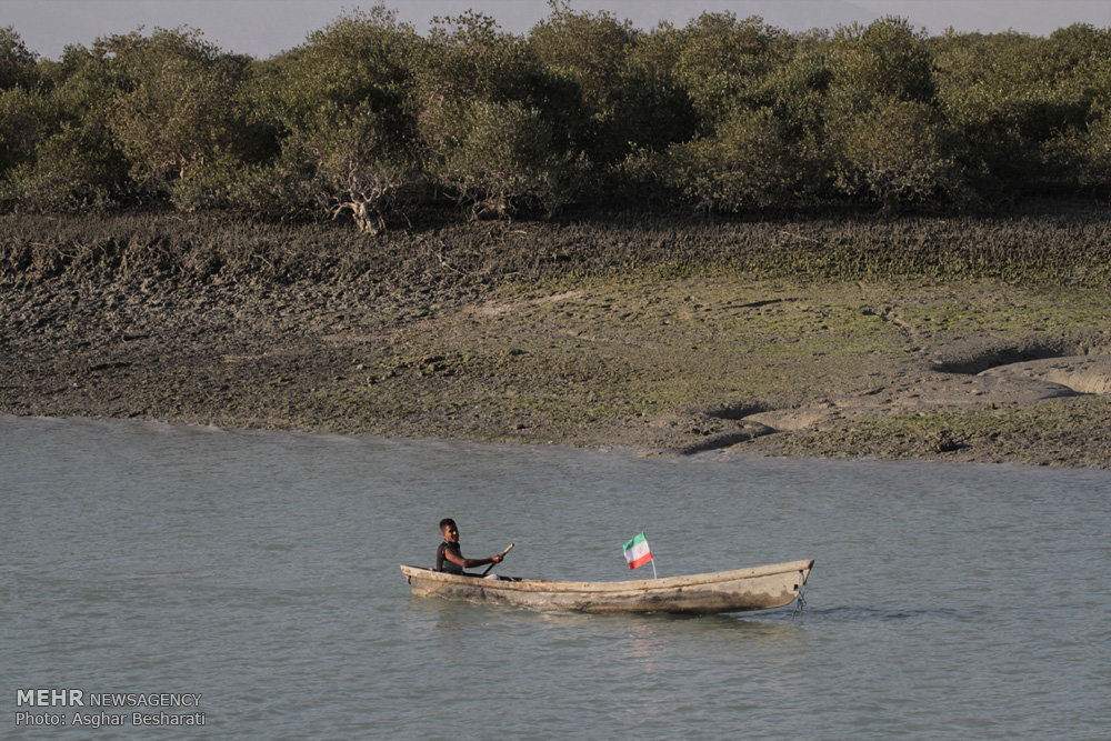 الگویی برای توسعه روستاها؛ سهیلی چرا و چگونه جهانی شد؟