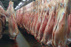 قیمت گوشت قرمز امروز ۳۱ تیرماه ۱۴۰۱/ سردست گوسفندی ۱۴۶
