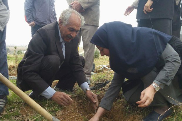 پدر بلوط ایران ۱۰۰۰اصله نهال را به دانشگاه آزاد خرم‌آباد هدیه کرد