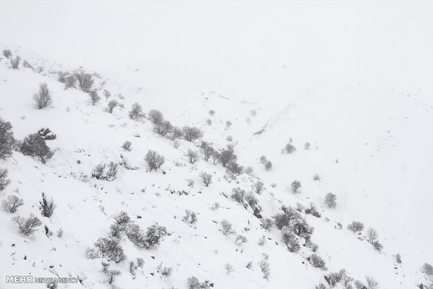 ارتفاع برف درمناطق کوهستانی جاده اسالم- خلخال به ۱۰سانتی متر رسید