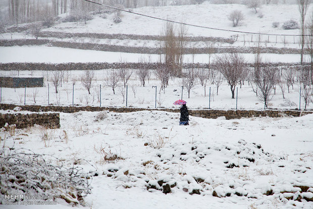 Snow whitens Kurdistan