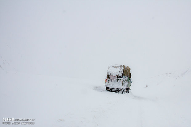 Snow whitens Kurdistan