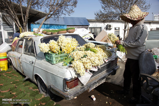 Mahallati Flower Market on eve of Spring