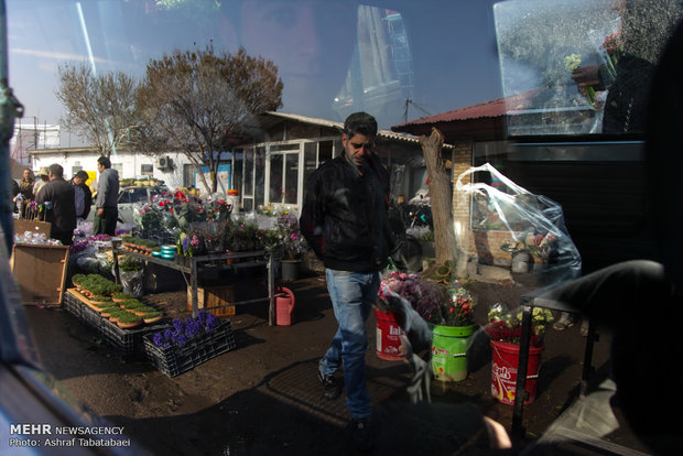 Mahallati Flower Market on eve of Spring