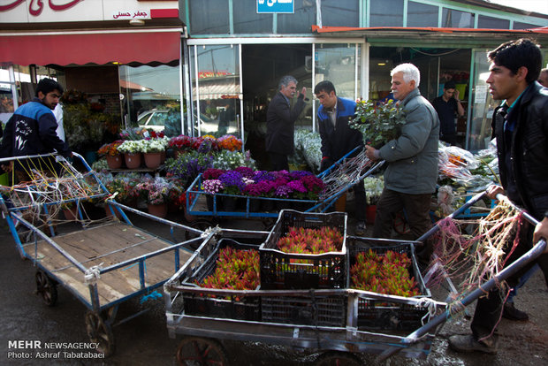 Mahallati Flower Market on eve of Spring