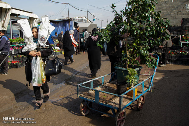 Mahallati Flower Market on eve of Spring