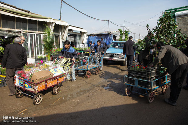 Mahallati Flower Market on eve of Spring