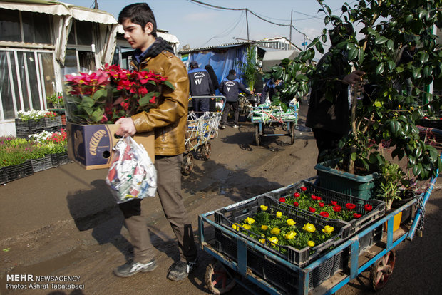 Mahallati Flower Market on eve of Spring