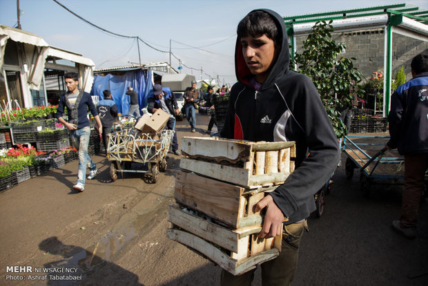 Mahallati Flower Market on eve of Spring