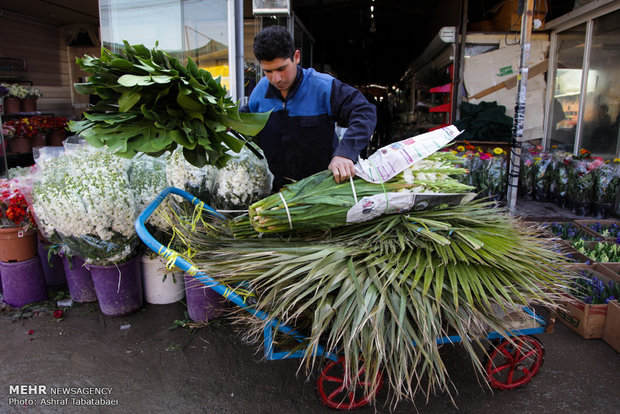 Mahallati Flower Market on eve of Spring