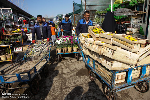 Mahallati Flower Market on eve of Spring