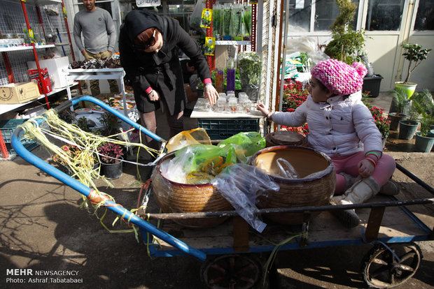 Mahallati Flower Market on eve of Spring