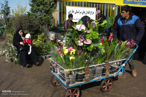 Mahallati Flower Market on eve of Spring