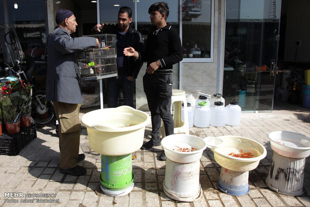 Mahallati Flower Market on eve of Spring