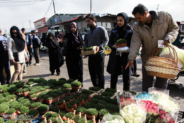 Mahallati Flower Market on eve of Spring