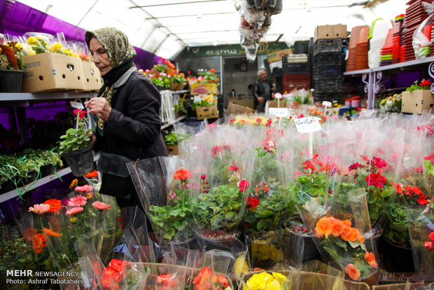 Mahallati Flower Market on eve of Spring