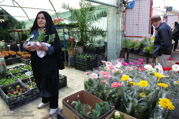 Mahallati Flower Market on eve of Spring