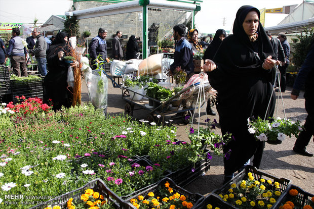 Mahallati Flower Market on eve of Spring