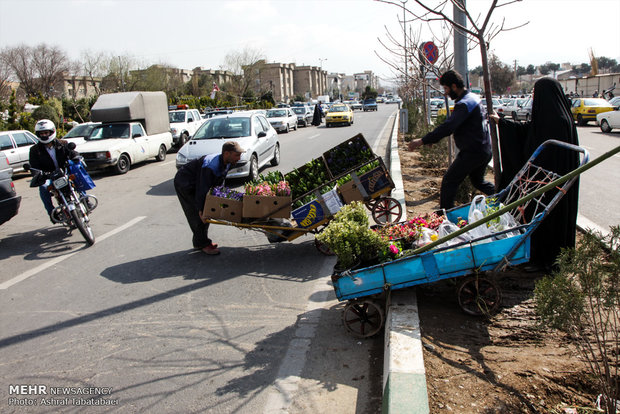 Mahallati Flower Market on eve of Spring