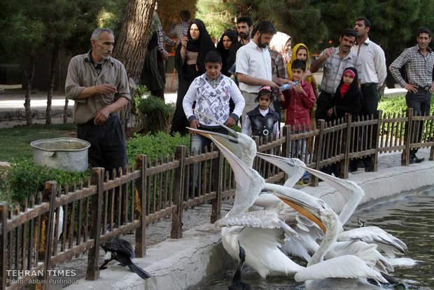 Land of affection - Esfahan