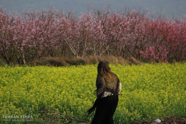 Land of affection - Golestan