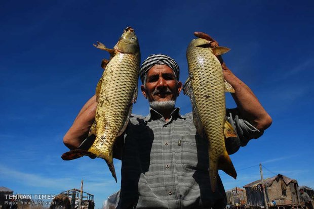 Land of affection - Golestan