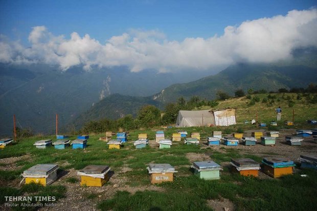 Land of affection - Golestan