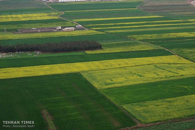 Land of affection - Golestan