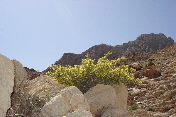 خشکسالی و اثرات مخرب آن بر پیکره بی جان منابع طبیعی در مهرستان