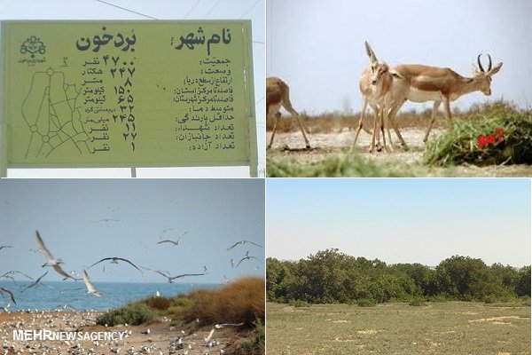 بردخون مهد بزرگان؛ شهری کوچک با جاذبه‌های گردشگری فراوان