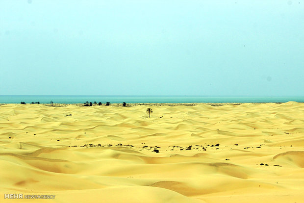پاکیزه ترین ساحل کشور در درک زرآباد