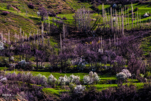 İran’da Nevruz coşkusu