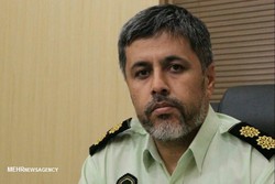 سارق سیم‌های برق در تنگستان دستگیر شد
