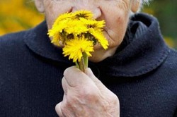 کاهش حس بویایی در سالمندی خطر ابتلا به افسردگی را افزایش می دهد