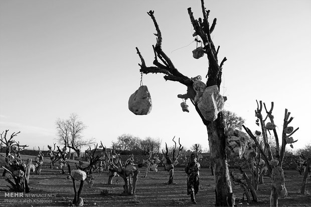 Rocky garden of Sirjan