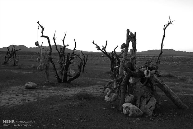 Rocky garden of Sirjan