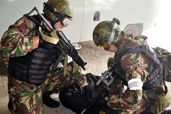 Chechen units ready to assist Iran in advent of ground attack