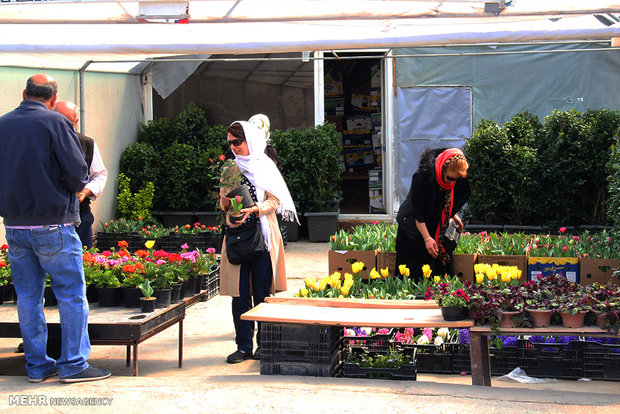 Tahran’da çiçek pazarı