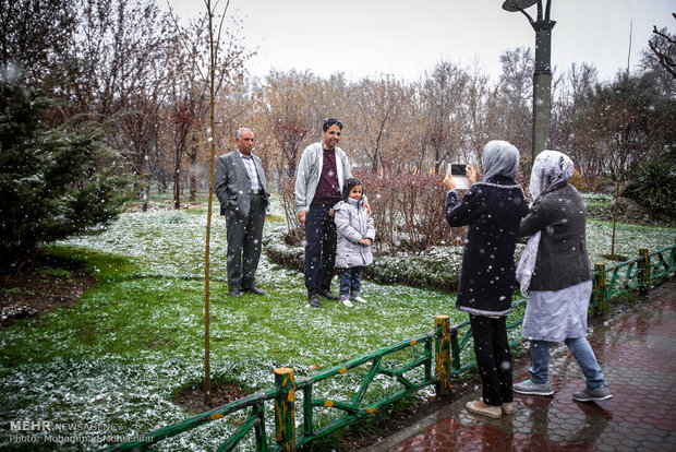 Spring snow in Karaj